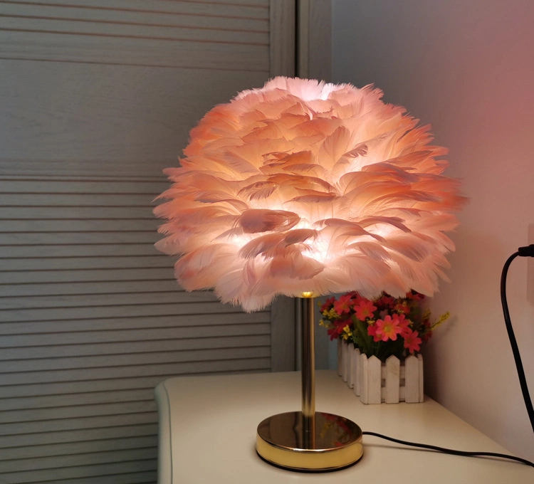 Nordic Creative Lovely Bedroom Bed Floor Lamp Natural Super Fluffy Feather Floor Lamp