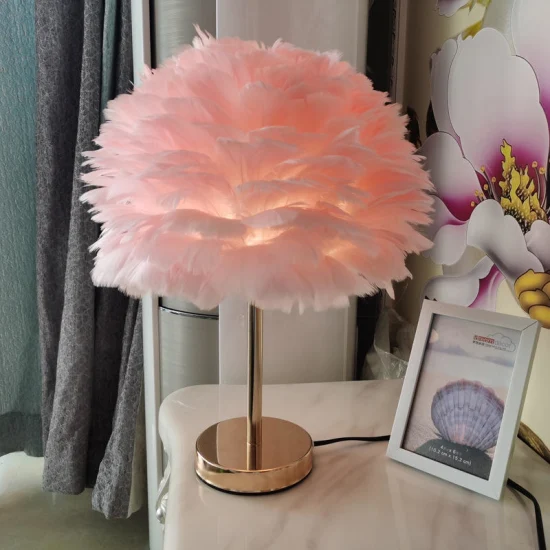 Nordic Creative Lovely Bedroom Bed Floor Lamp Natural Super Fluffy Feather Floor Lamp